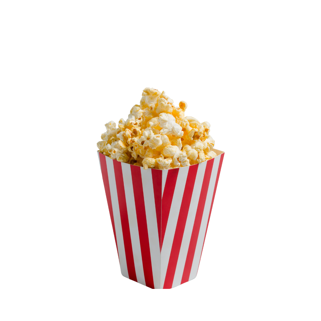 Popcorn Machine Rental Florida - Professional Party Equipment"